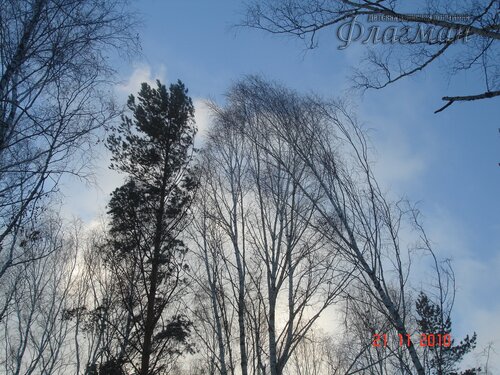 DSC04674_r